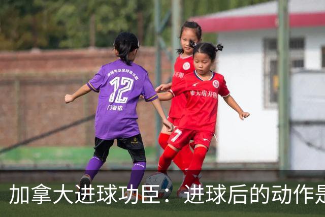 加拿大进球功臣：进球后的动作是给质疑我的媒体，他们可以闭嘴了